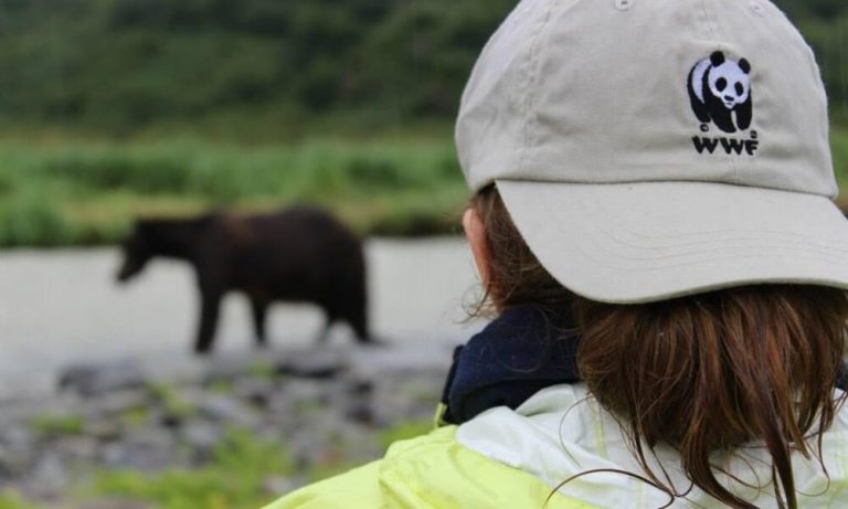 Panda Hats Are Simply Irresistible!