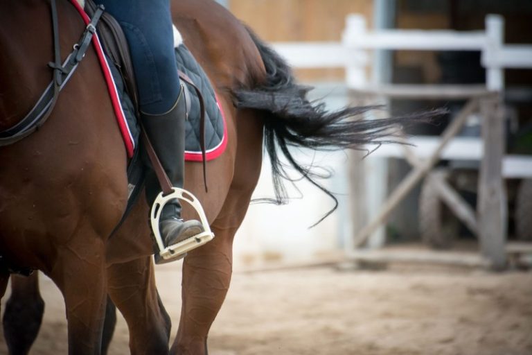 The Benefits of Stirrups for Horse Riders